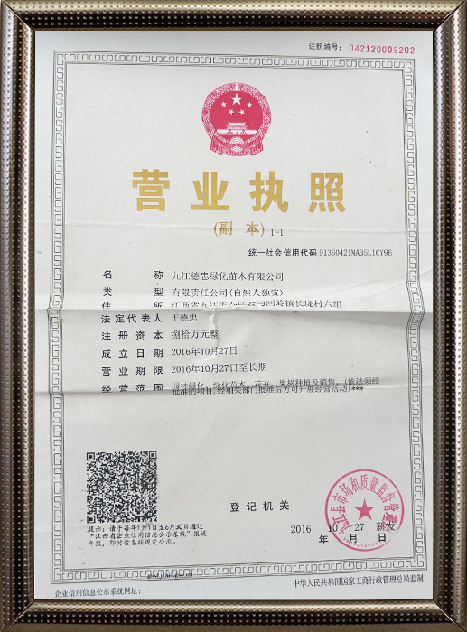 營(yíng)業(yè)執(zhí)照